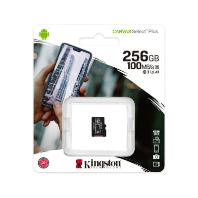 Карта пам'яті microSD 256 Гб Kingston 100 MB/s UHS-I class 10